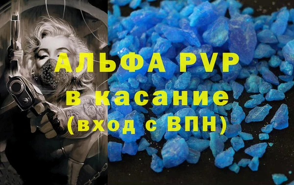 амф Белокуриха