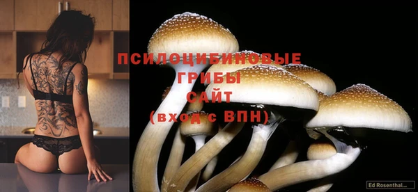 кокаин колумбия Богородицк