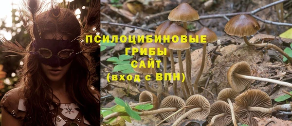 кокаин колумбия Богородицк